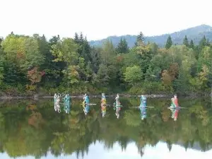 Taoshanguojia Forest Park