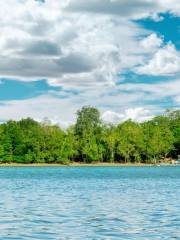 Kuching Wetlands National Park