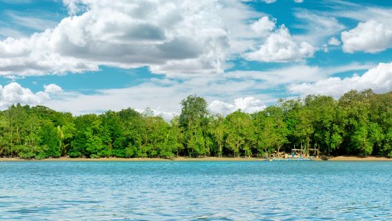 Kuching Wetlands National Park