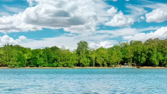 Kuching Wetlands National Park