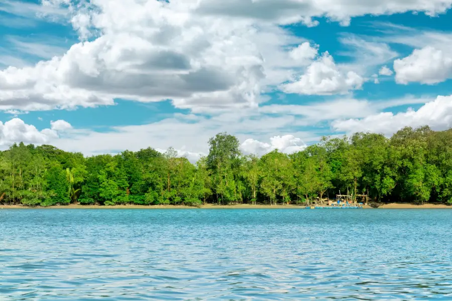 Kuching Wetlands National Park