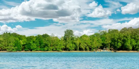 古晉國家濕地公園