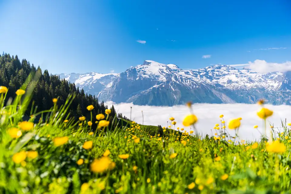 4_Titlis