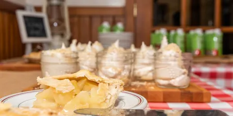 Cabane A Sucre Au Milieu Des Champs