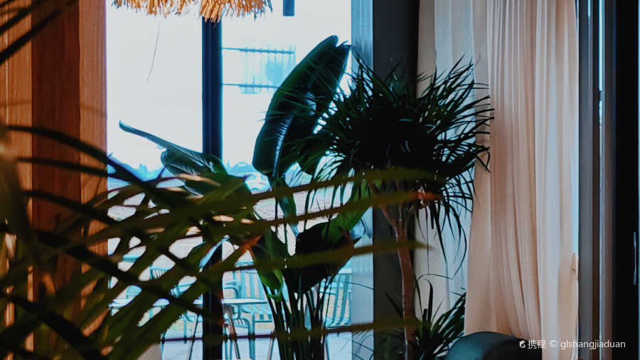 邛崃泉水湖梦马岛森系木屋·雨蕉阁