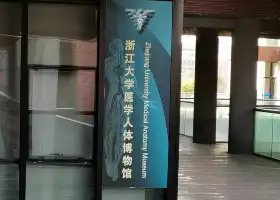 Zhejiang Daxue Yixue Renti Museum