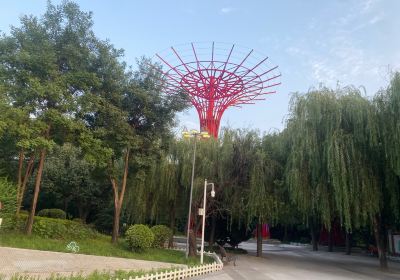 Qianmu Forest Park