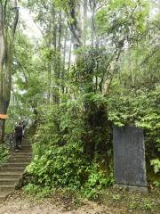 Wanmulin Nature Reserve, Jian'ou City