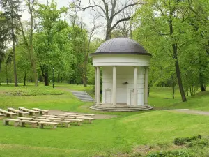 ミエイスキ・フ・スキエルニエビツァフ公園