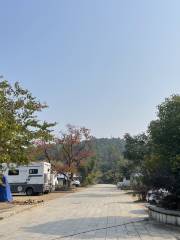 覓塢野營·大榕樹營地