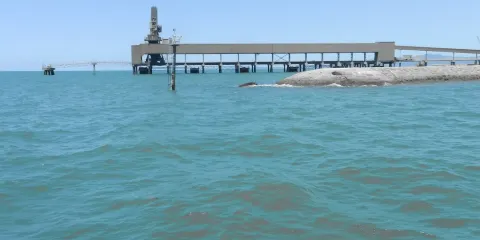 Port of Townsville