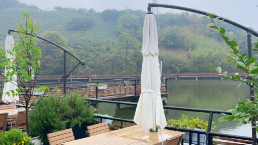 义远有机农场餐厅