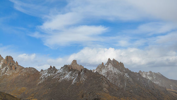 4520 Observation Deck