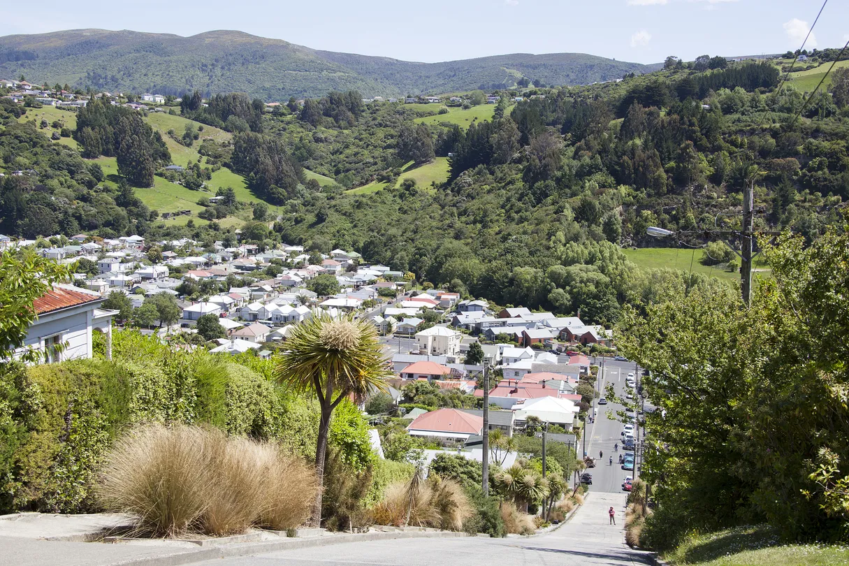 3_Baldwin Street - The Steepest Street in the World