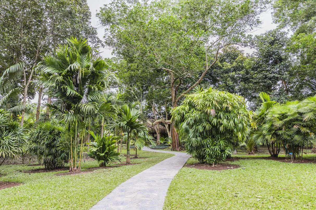 5_Xishuangbanna Tropical Botanical Garden