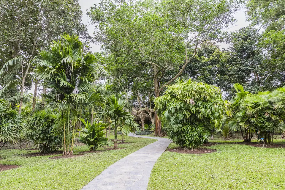5_Xishuangbanna Tropical Botanical Garden