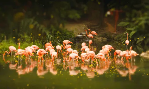 Guangzhou Zoo