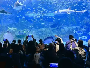 COEX Aquarium