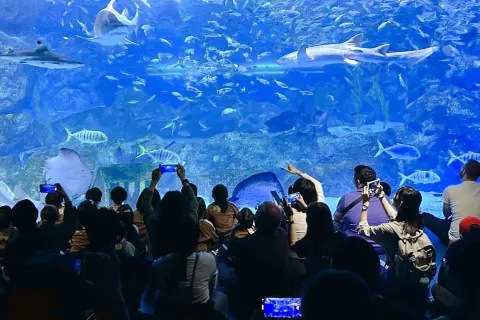 COEX Aquarium