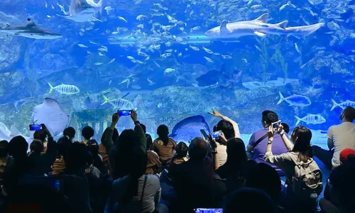 COEX Aquarium