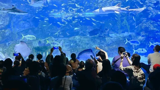 COEX Aquarium