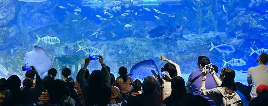 COEX Aquarium