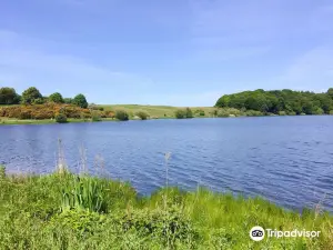 Talkin Tarn Country Park