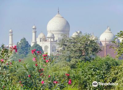 Taj Nature Walk