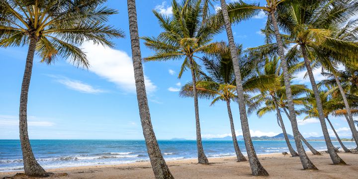 Palm Cove
