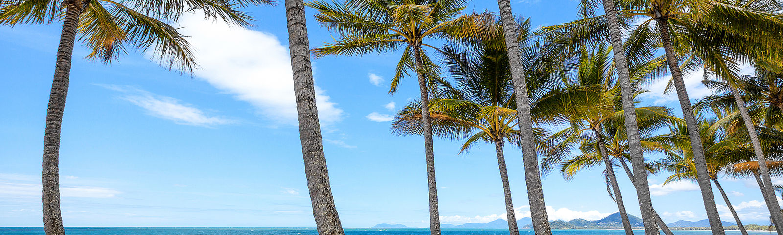 Palm CoveTours