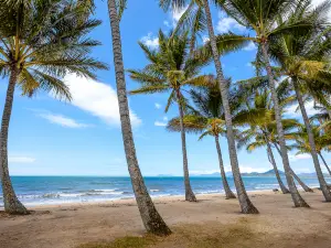 Palm Cove