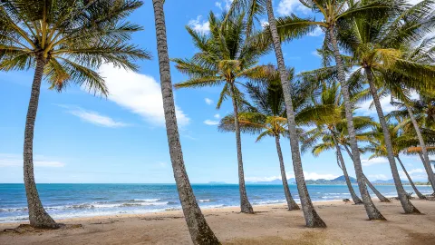 Palm Cove travel destination