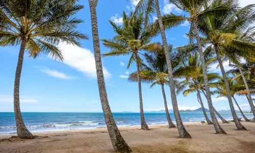 Palm Cove