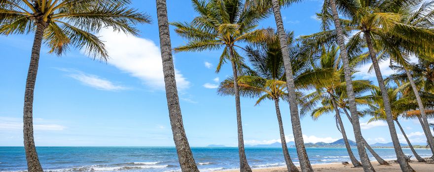 Palm Cove