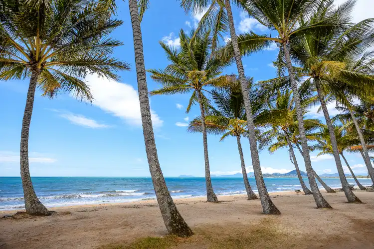Hotel Sebel di Palm Cove