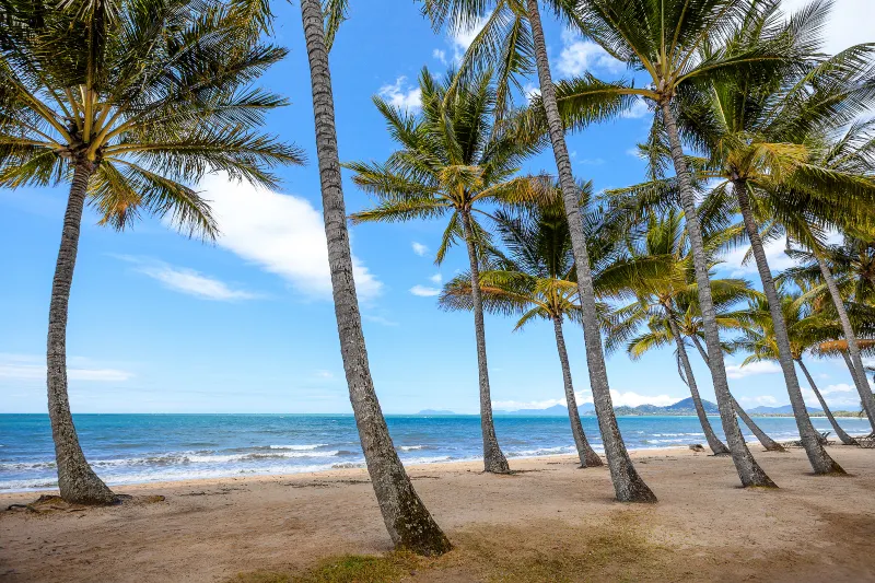 Palm Cove