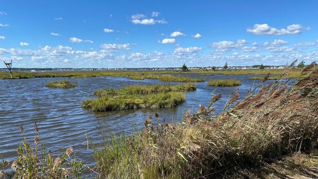 Cattus Island County Park Parking Lot