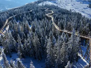 Treetop Walk Bachledka