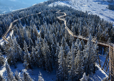 Treetop Walk Bachledka