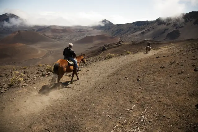 Horse Riding in Hawaii