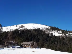 Gaschney 360
