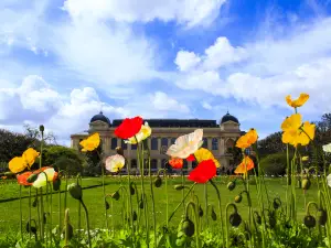 Jardin des Plantes