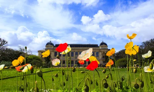 Jardin des Plantes