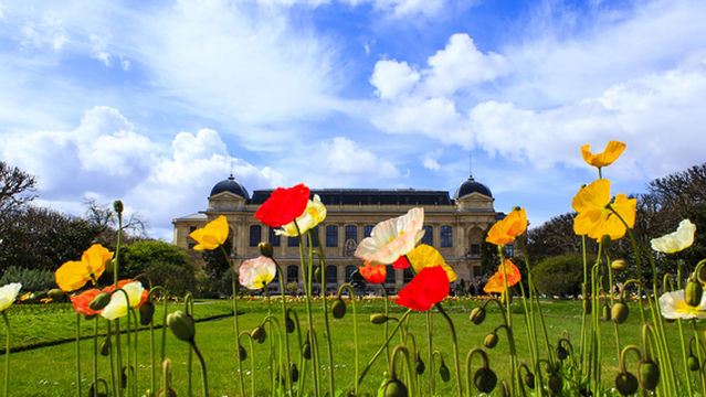 Jardin des Plantes