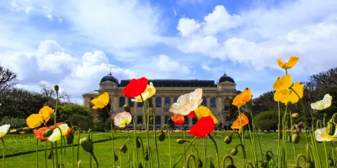 巴黎植物園