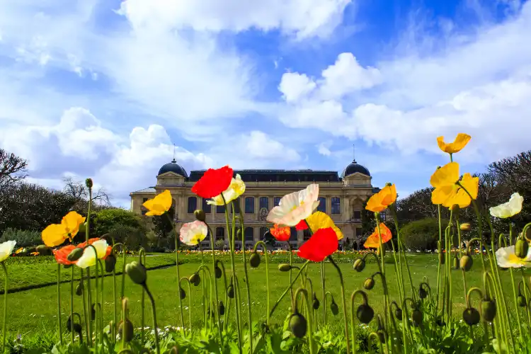 Hotels in der Nähe von Ménagerie du Jardin des Plantes