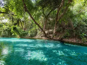 parco nazionale di Yankari