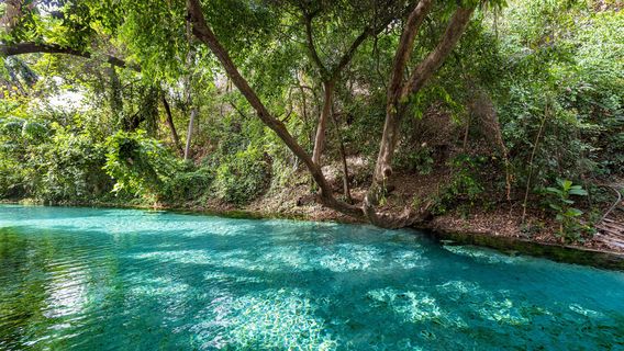 Yankari Game Reserve
