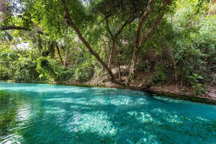 Hotels near Yankari Game Reserve