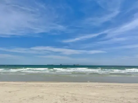 맹그로브 숲 해산물 채집 체험